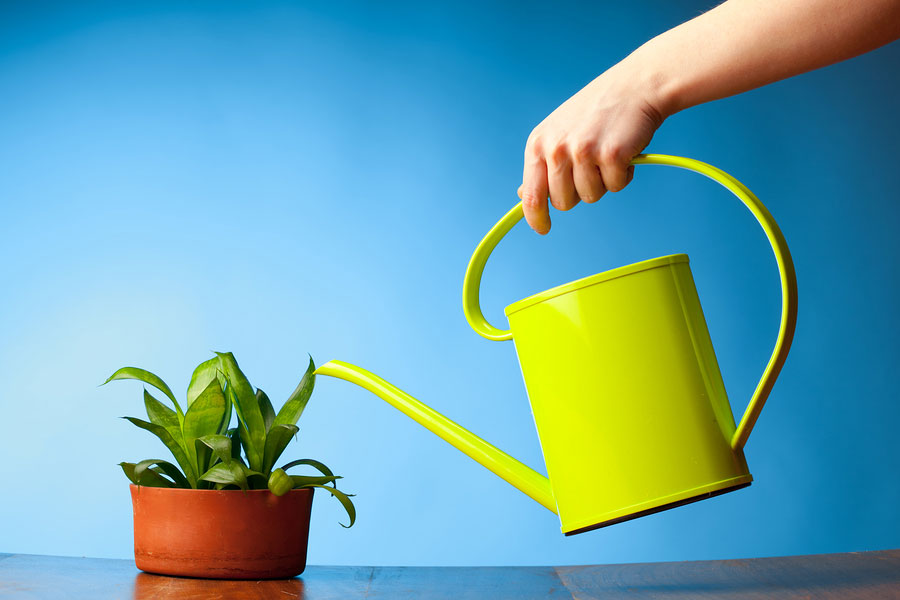 4 Primary Ways To Grow Your Accounting Firm